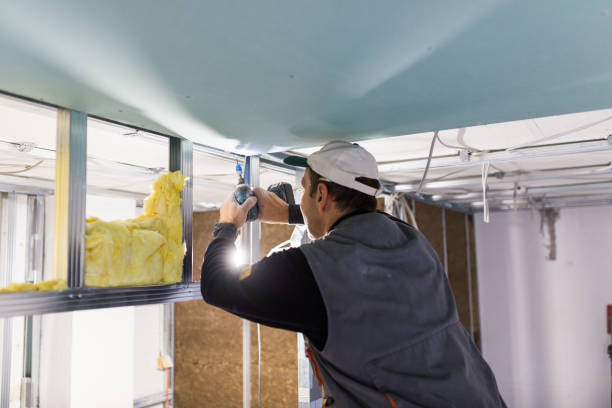 Best Professional Insulation Contractor  in Jenkintown, PA