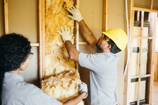 Best Insulation Contractors for Homes  in Jenkintown, PA