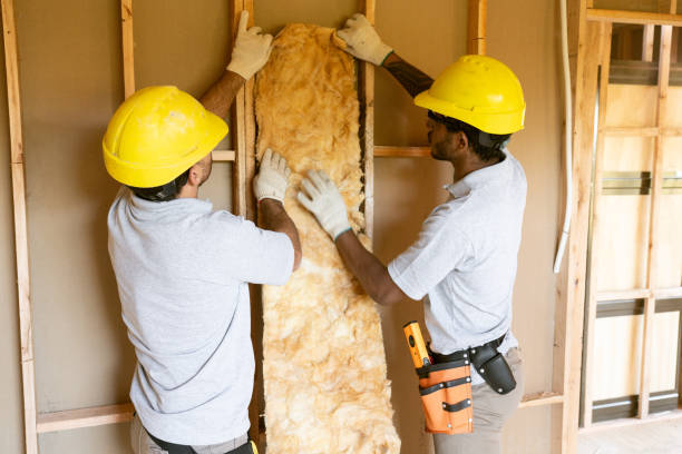Best Attic Insulation Installation  in Jenkintown, PA